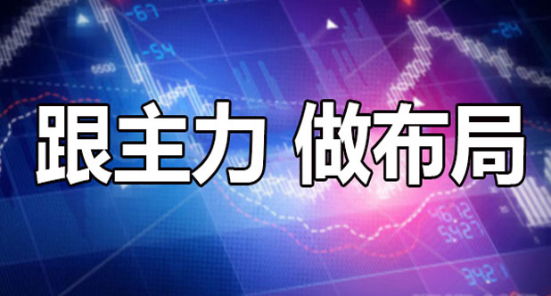 跟主力 做布局