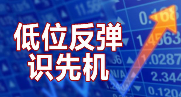 低位反弹识先机