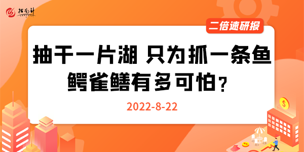 《二倍速研报》抽干一片湖，只为抓一条鱼，鳄雀鳝有多可怕？