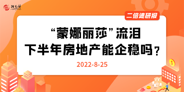 《二倍速研报》“蒙娜丽莎”流泪，下半年房地产能企稳吗？