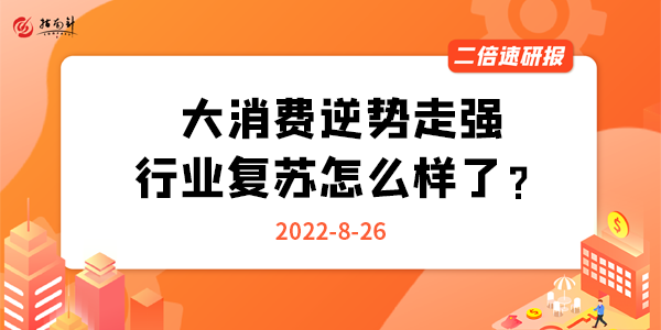 《二倍速研报》大消费逆势走强，行业复苏怎么样了？