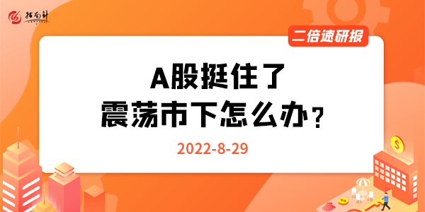 《二倍速研报》A股挺住了，震荡市下怎么办？