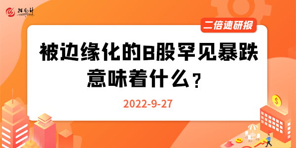 《二倍速研报》被边缘化的B股罕见暴跌，意味着什么？