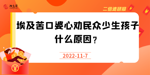 《二倍速研报》埃及苦口婆心劝民众少生孩子，什么原因？