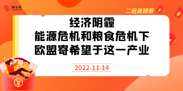 《二倍速研报》经济阴霾、能源危机和粮食危机下，欧盟寄希望于这一产业