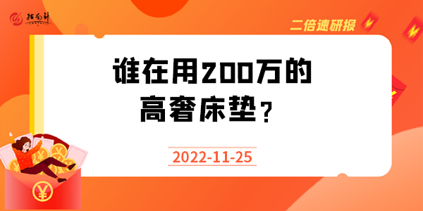 《二倍速研报》谁在用200万的高奢床垫？