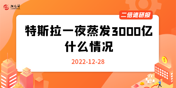 《二倍速研报》特斯拉一夜蒸发3000亿，什么情况