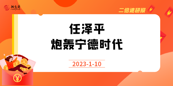 《二倍速研报》任泽平炮轰宁德时代，网友再次“建议专家不要再建议了”