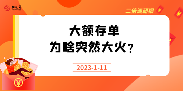 《二倍速研报》大额存单为啥突然大火？