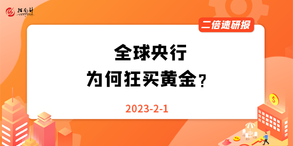 《二倍速研报》全球央行为何狂买黄金？