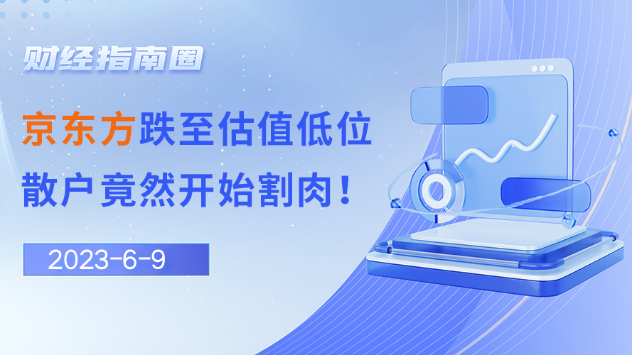 《财经指南圈》京东方跌至估值低位，散户竟然开始割肉！